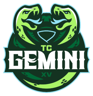 Twin Cities Gemini